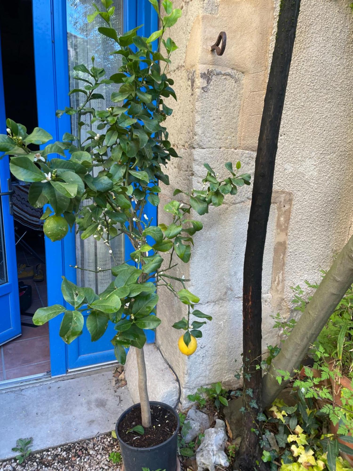 Appartement Cosy Malaucene Luaran gambar